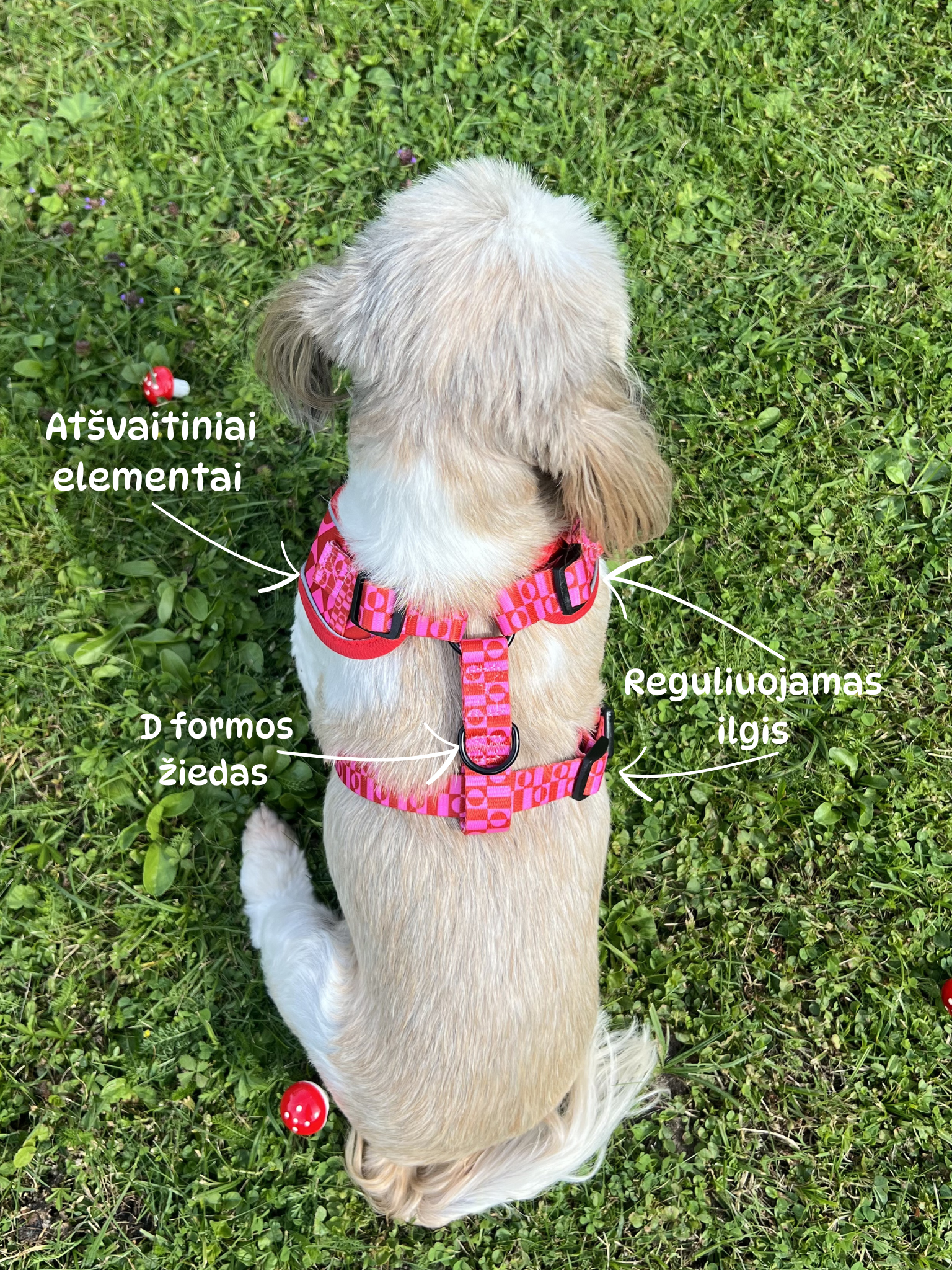 Geschirr „Pink Paws“ – 6