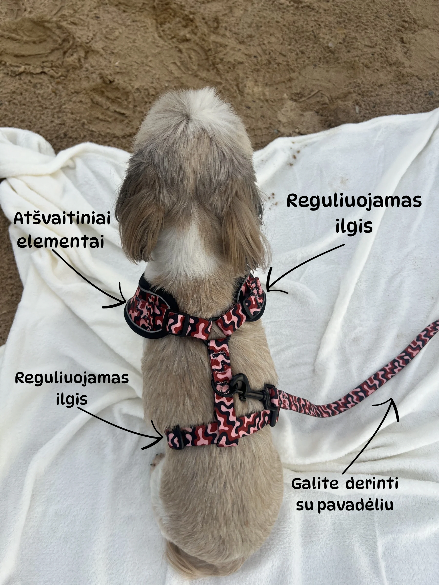 Geschirr „Strömung“ – 4